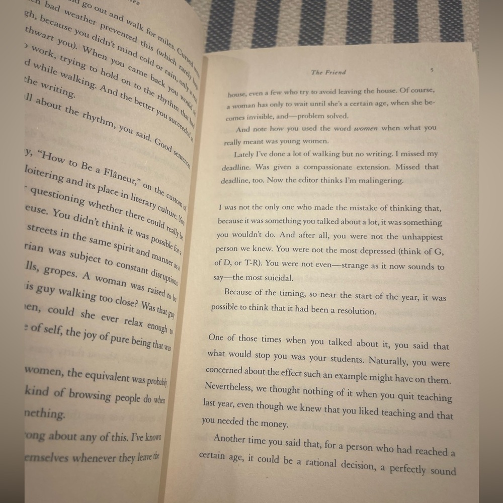 Sigrid Nunez 'The Friend' Novel - “National Book Award Winner” - Picture 4 of 4